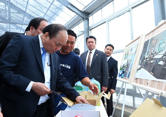 Thủ tướng xem sản phẩm đóng gói của nông trại.