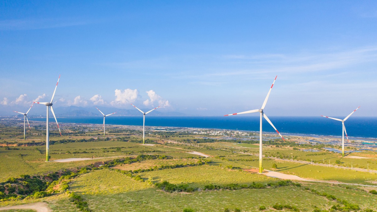 Ninh Thuận đang từng bước khẳng định vai trò là trung tâm công nghiệp năng lượng sạch lớn nhất cả nước. Ninh Thuận đang từng bước khẳng định vai trò là trung tâm công nghiệp năng lượng sạch lớn nhất cả nước.