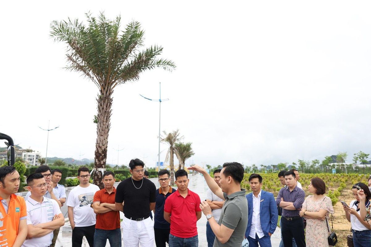 Hoạt động đi thực địa của các học viên Rich Nguyen Academy tìm hiểu đầu tư bất động sản.