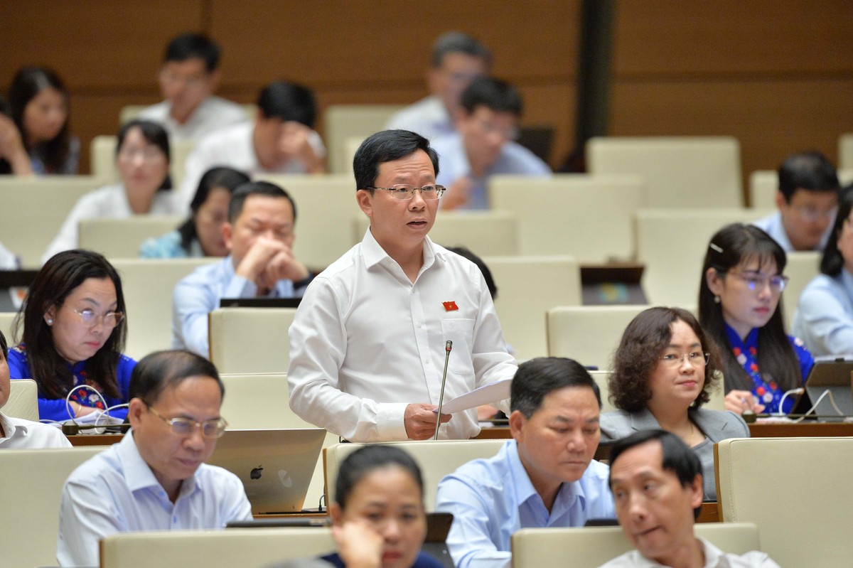 Đại biểu Lê Minh Nam (Đoàn Hậu Giang)