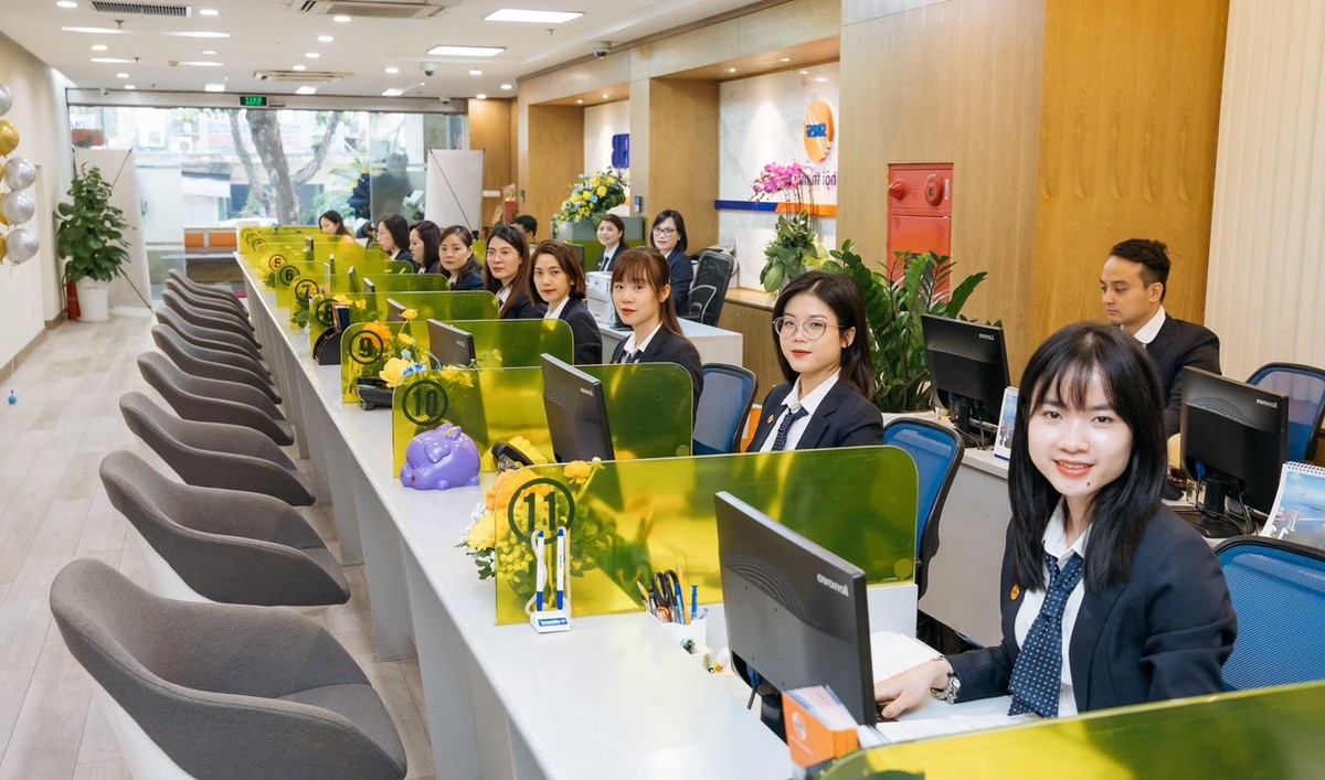 SHS sẽ xây dựng môi trường làm việc năng động, hiện đại, phát huy được sự sáng tạo của cán bộ nhân viên SHS sẽ xây dựng môi trường làm việc năng động, hiện đại, phát huy được sự sáng tạo của cán bộ nhân viên