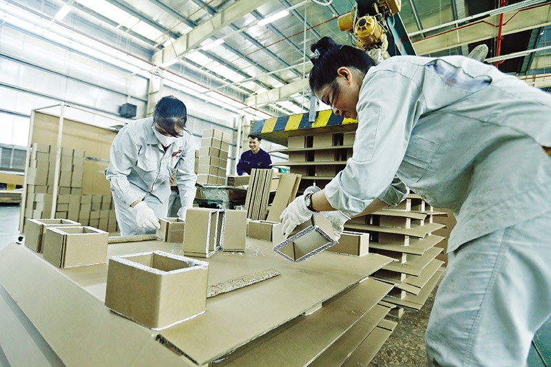 Nhà máy sản xuất bao bì của Tri-Wall Vina (Nhật Bản). Ảnh: Đức Thanh Nhà máy sản xuất bao bì của Tri-Wall Vina (Nhật Bản). Ảnh: Đức Thanh