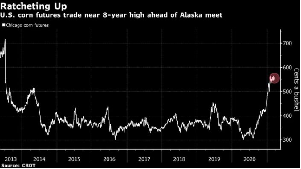 Biểu đồ hợp đồng tương lai giá ngô (Nguồn: CBOT) Biểu đồ hợp đồng tương lai giá ngô (Nguồn: CBOT)