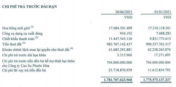 Chi phí trả trước dài hạn của NTC tới 30/6/2021
