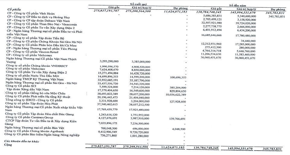 Danh mục cổ phiếu đang nắm giữ của NDN tính tới 30/6/2021