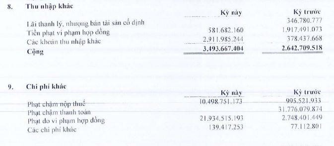 Cơ cấu thu nhập và chi phí khác của TDC trong 6 tháng đầu năm 2021 Cơ cấu thu nhập và chi phí khác của TDC trong 6 tháng đầu năm 2021
