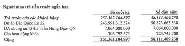 Người mua trả tiền trước ngắn hạn của NTL tới 30/6/2021