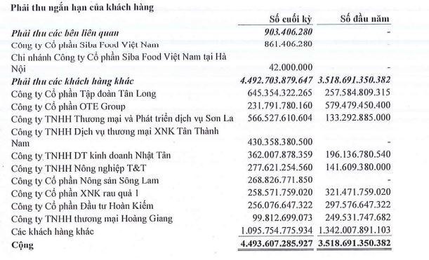 Các khoản phải thu của CTCP Nông nghiệp BAF Việt Nam tính tới 30/6/2021