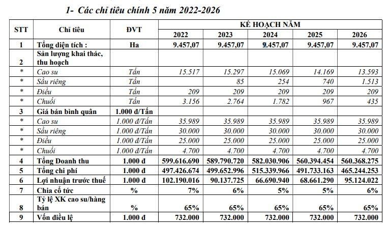 Kế hoạch kinh doanh của DRI từ 2022 đến 2026.