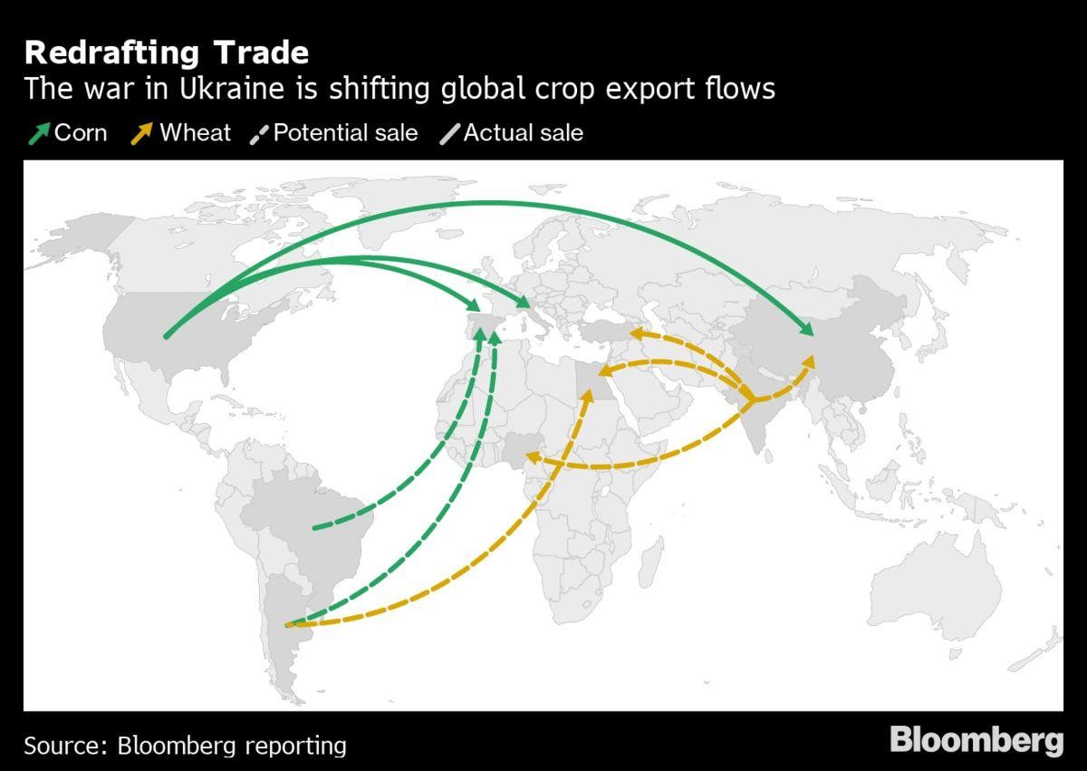 Hoạt động thương mại ngũ cốc trên toàn cầu đang được xây dựng lại Hoạt động thương mại ngũ cốc trên toàn cầu đang được xây dựng lại