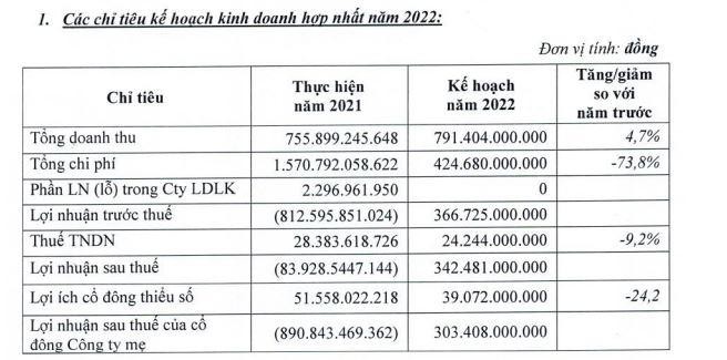 Kế hoạch kinh doanh năm 2022 của TDH. Kế hoạch kinh doanh năm 2022 của TDH.