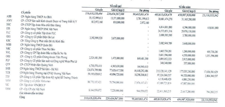 Danh mục đầu tư chứng khoán của NDN.