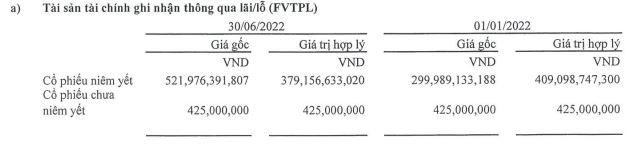 Tài sản tài chính ghi nhận thông qua lãi/lỗ (FVTPL) tính tới 30/6/2022. Tài sản tài chính ghi nhận thông qua lãi/lỗ (FVTPL) tính tới 30/6/2022.