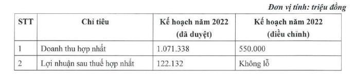 Điều chỉnh kế hoạch kinh doanh năm 2022.