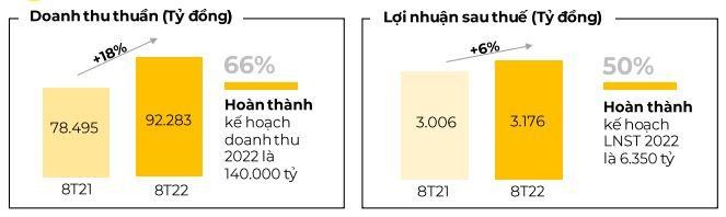 Kết quả kinh doanh 8 tháng đầu năm 2022 của MWG.