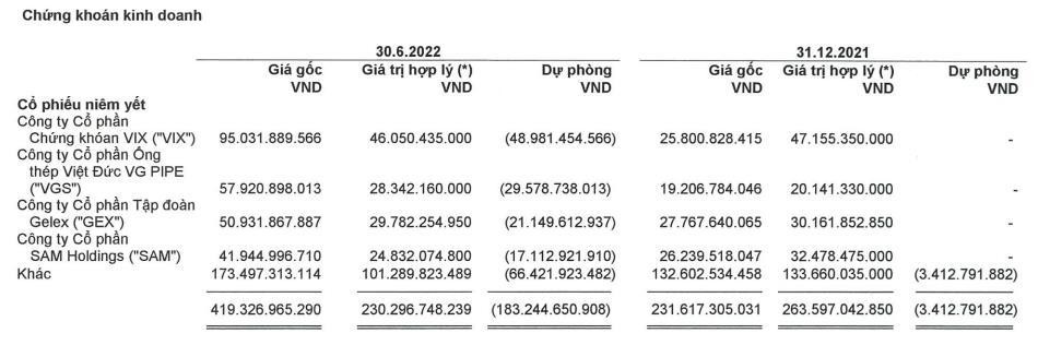 Danh mục cổ phiếu nắm giữ tới 30/6/2022.