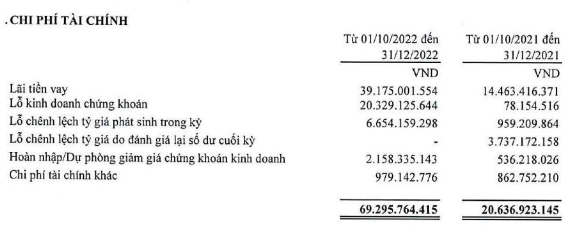 Chi phí tài chính tăng do chi phí lãi vay, lỗ chứng khoán.