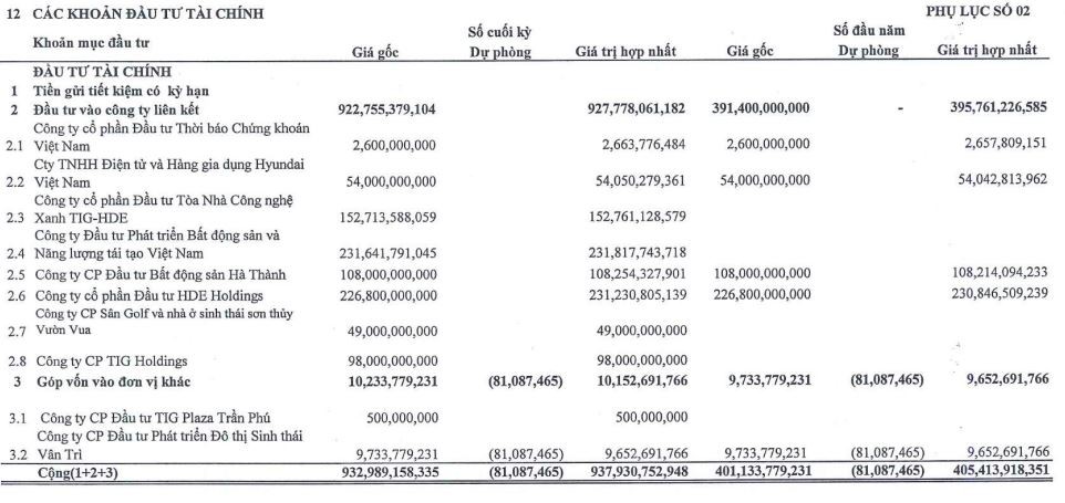 TIG tăng đầu tư vào công ty liên kết trong năm 2022.