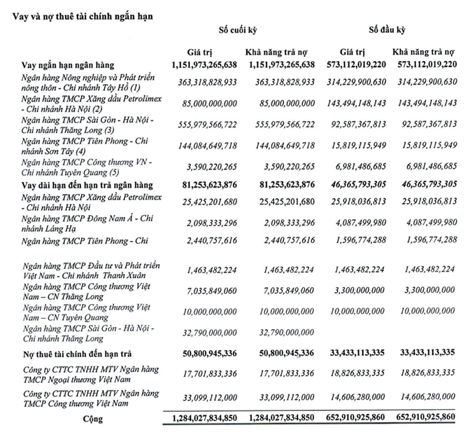 Cơ cấu nợ vay ngắn hạn tới 31/12/2022.
