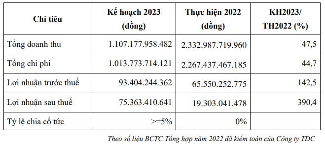 Kế hoạch kinh doanh năm 2022 của Kinh doanh và Phát triển Bình Dương