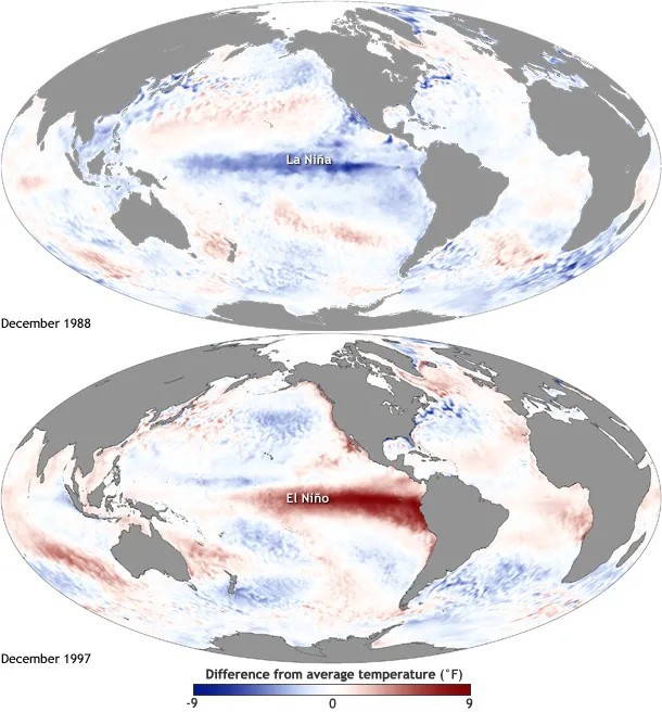 Các sự kiện El Nino dẫn đến một dải nước nóng lên hình thành dọc theo đường xích đạo ở Thái Bình Dương, trong khi La Nina thì ngược lại. Các sự kiện El Nino dẫn đến một dải nước nóng lên hình thành dọc theo đường xích đạo ở Thái Bình Dương, trong khi La Nina thì ngược lại.