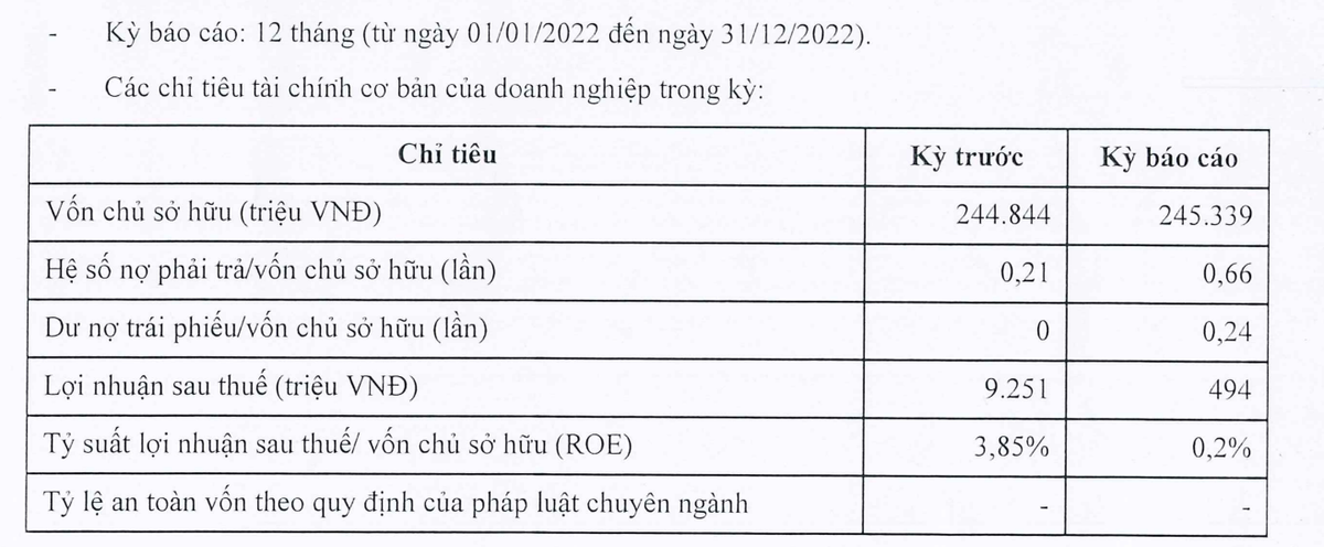 Đầu tư Kiến Vàng ghi nhận lợi nhuận lao dốc năm 2023 Đầu tư Kiến Vàng ghi nhận lợi nhuận lao dốc năm 2023