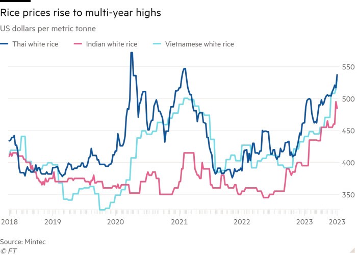 Giá gạo Việt Nam, Thái Lan và Ấn Độ bật tăng Giá gạo Việt Nam, Thái Lan và Ấn Độ bật tăng