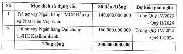 Mục đích huy động vốn của Rạng Đông Holding