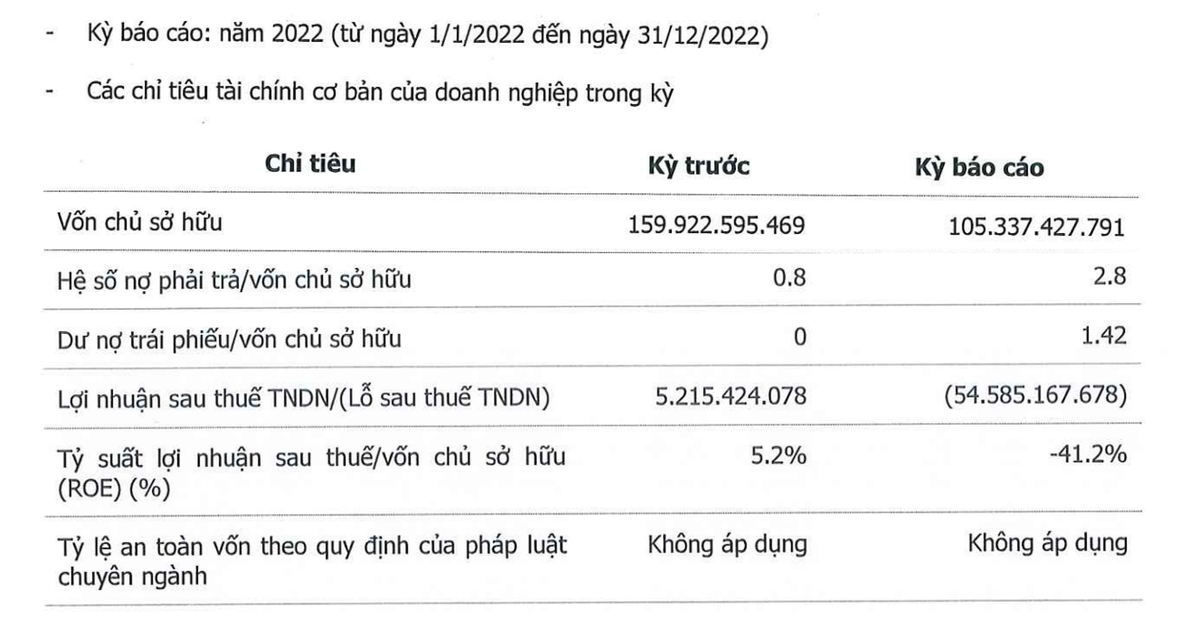 Vua Nệm lỗ 54,59 tỷ đồng trong năm 2022