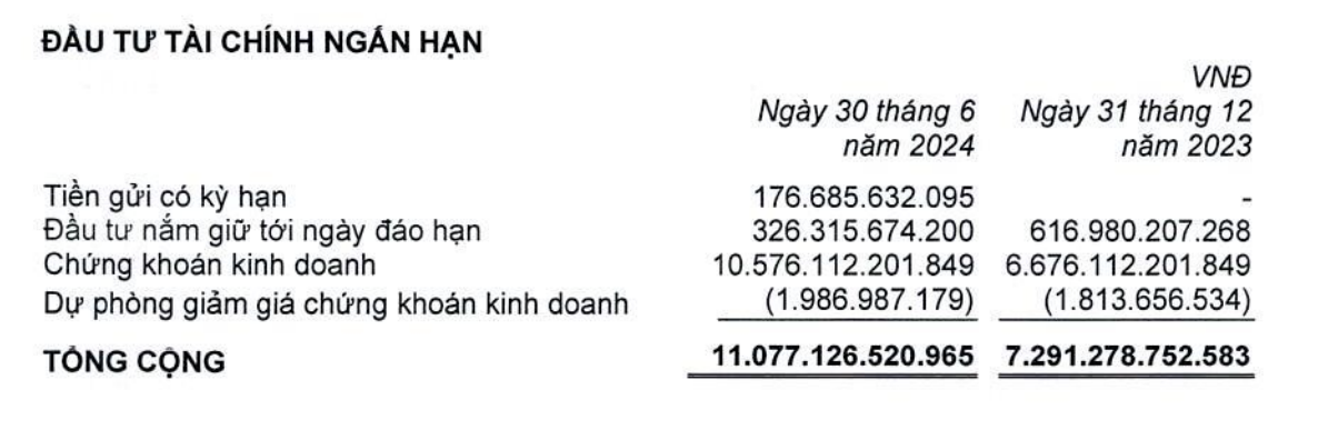 Cơ cấu đầu tư tài chính ngắn hạn của Tập đoàn PAN tại thời điểm 30/6/2024