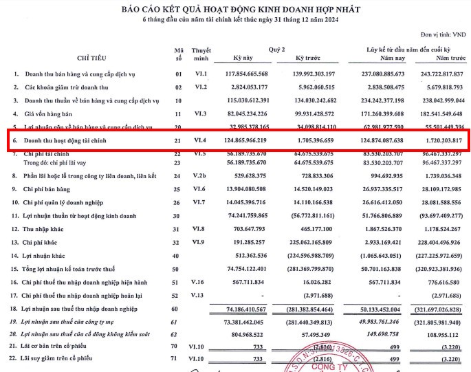 Doanh thu tài chính quý II tương đương nửa đầu năm 2024 Doanh thu tài chính quý II tương đương nửa đầu năm 2024