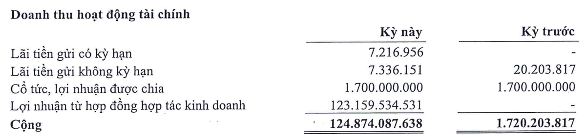 Doanh thu tài chính tăng nửa đầu năm 2024 đến từ lãi hợp tác kinh doanh Doanh thu tài chính tăng nửa đầu năm 2024 đến từ lãi hợp tác kinh doanh