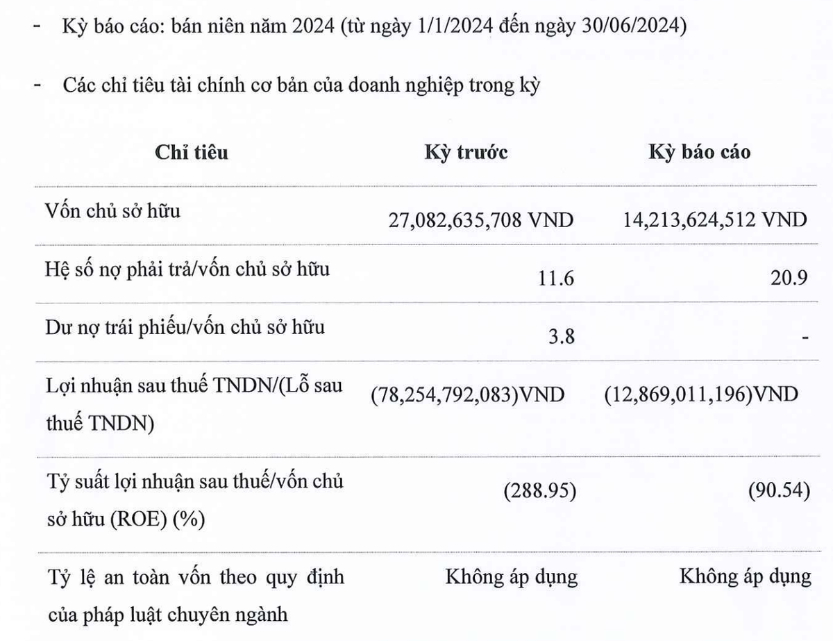 Vua Nệm tiếp tục lỗ trong nửa đầu năm 2024 Vua Nệm tiếp tục lỗ trong nửa đầu năm 2024