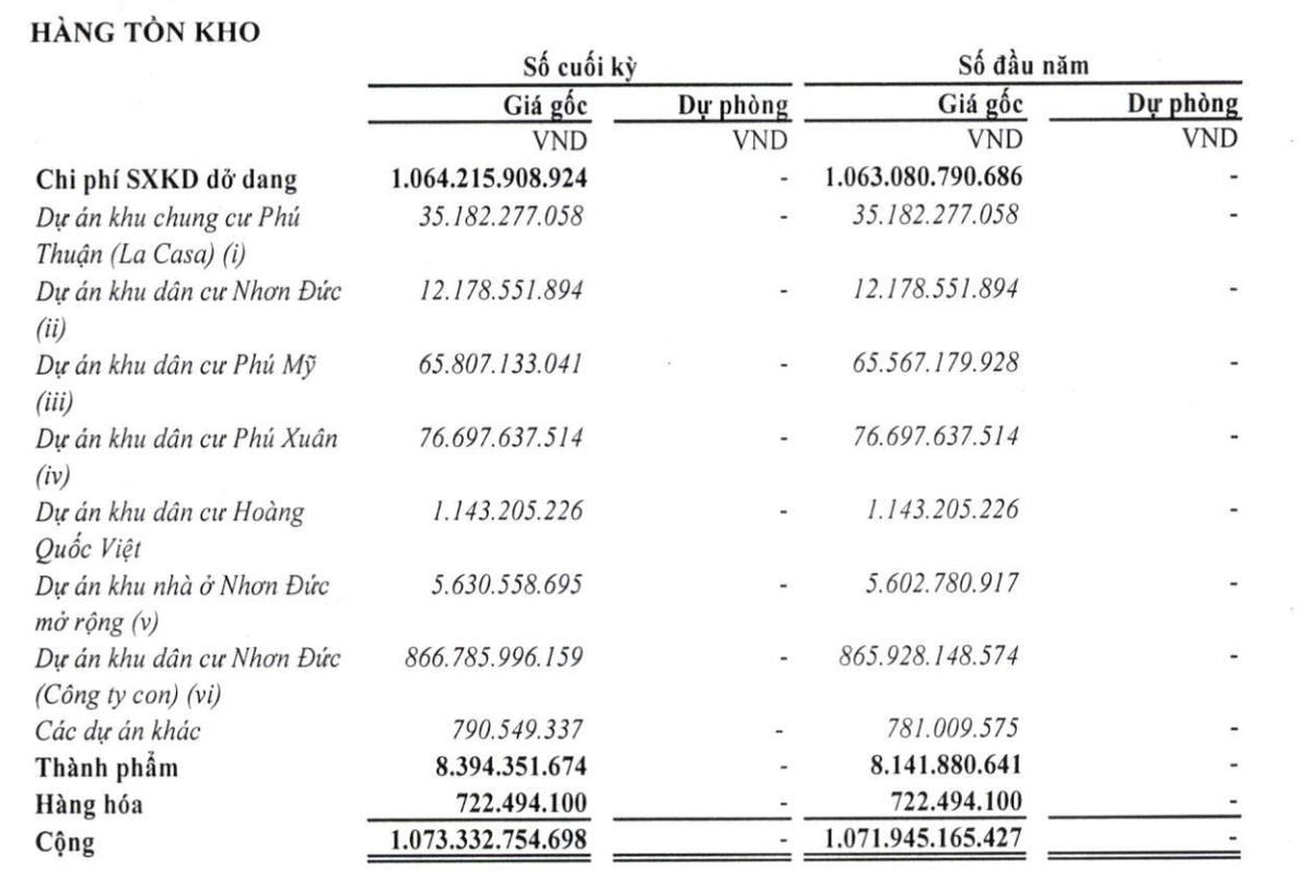 Cơ cấu tồn kho của VPH tại thời điểm 30/6/2024 Cơ cấu tồn kho của VPH tại thời điểm 30/6/2024