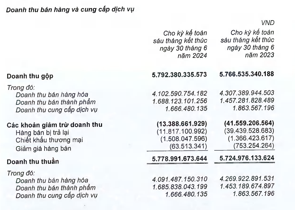 Cơ cấu doanh thu của Asia Group trong nửa đầu năm 2024