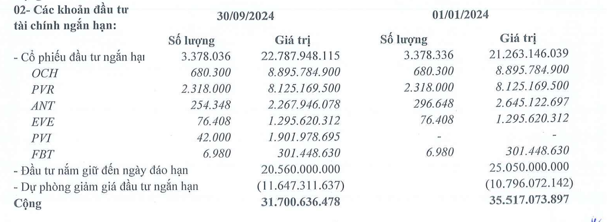 Danh mục đầu tư chính của Quản lý Quỹ Leadvisors