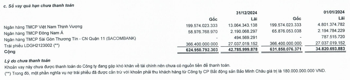 Các khoản nợ quá hạn thanh toán của LDG tại thời điểm 31/12/2024 Các khoản nợ quá hạn thanh toán của LDG tại thời điểm 31/12/2024
