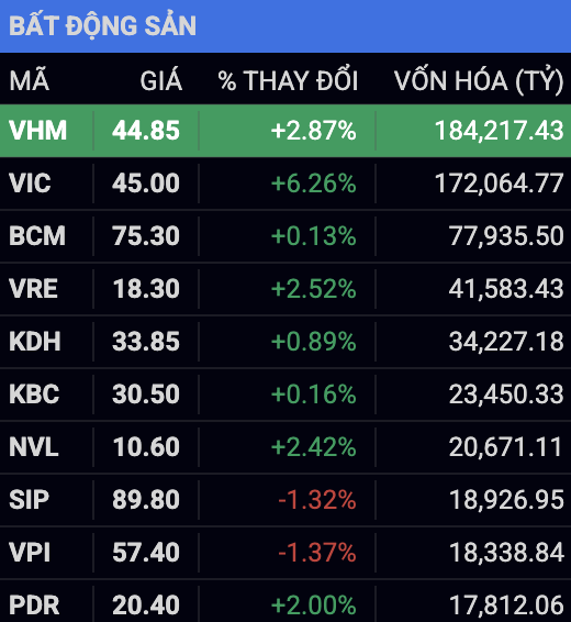 Top nhóm vốn hoá lớn ngành bất động sản trên sàn HOSE tính tới ngày 6/3/2025 (Nguồn: iBoard của Chứng khoán SSI)
