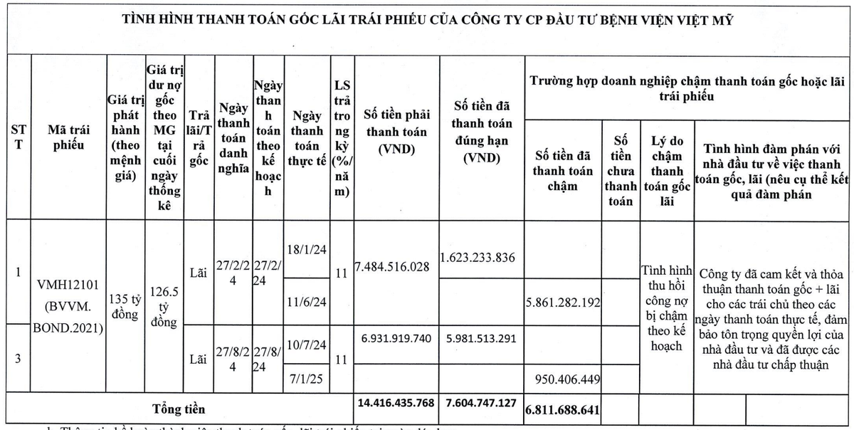 Đầu tư Bệnh viện Việt Mỹ chậm trả lãi trái phiếu năm 2024