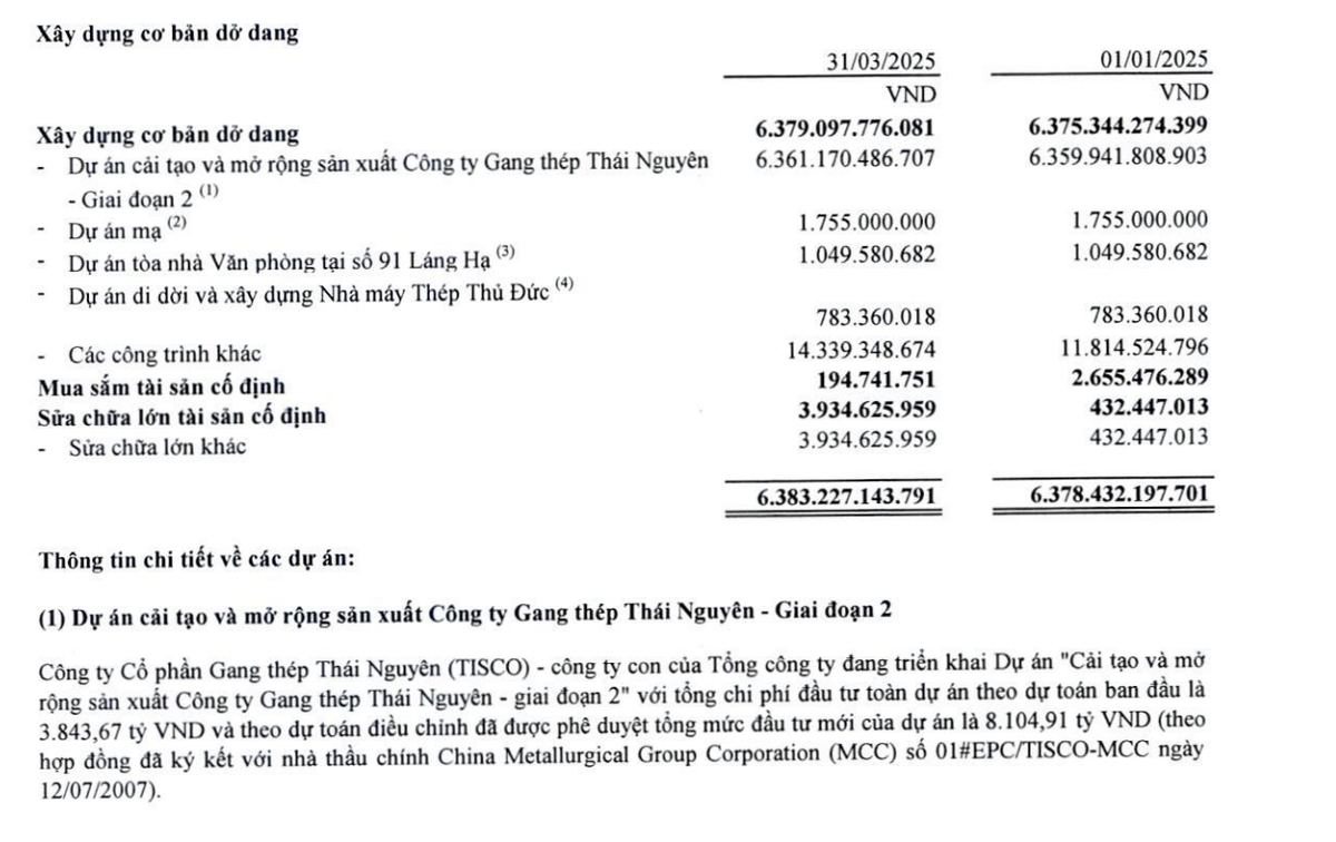 Tài sản dở dang dài hạn liên quan chủ yếu dự án &quot;Gang thép Thái Nguyên - Giai đoạn 2&quot;