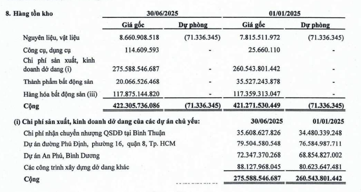 Cơ cấu tồn kho của Saigonres tại thời điểm 30/6/2025.