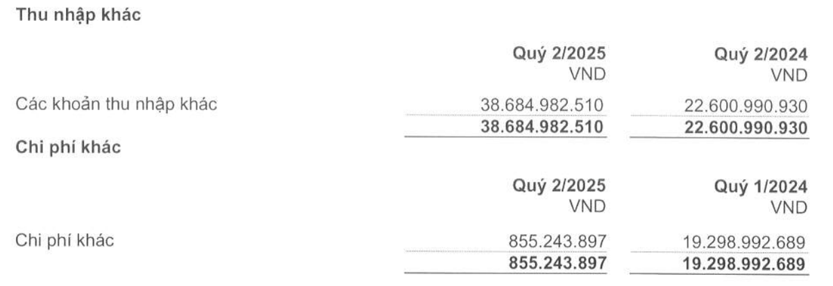 Thoát lỗ quý II nhờ các khoản thu nhập khác. Thoát lỗ quý II nhờ các khoản thu nhập khác.