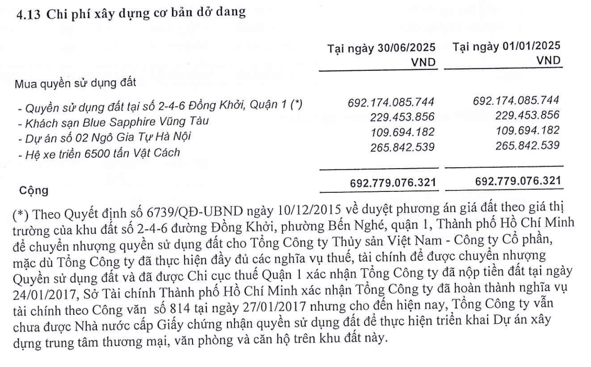 Dự án 2-4-6 Đồng Khởi của Seaprodex là dự án trọng điểm mà Công ty đang sở hữu.