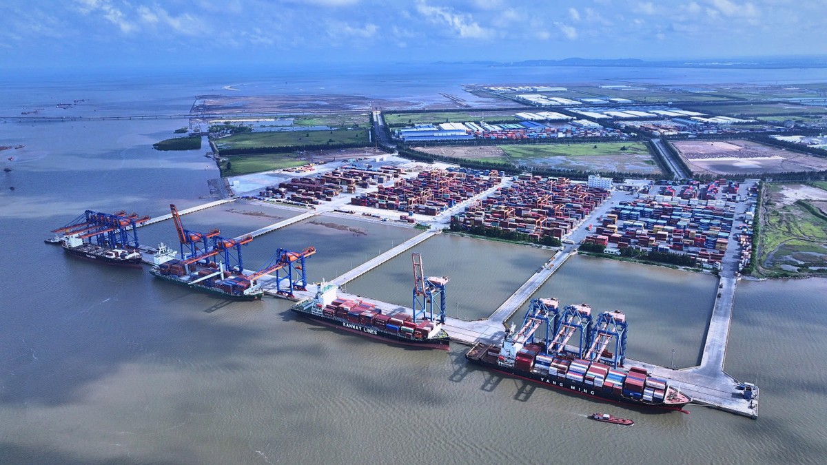 Cảng Nam Đình Vũ. Cảng Nam Đình Vũ.