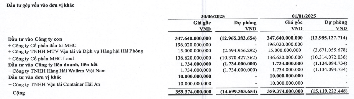 Danh sách các công ty con của MHC tại thời điểm 30/6/2025.