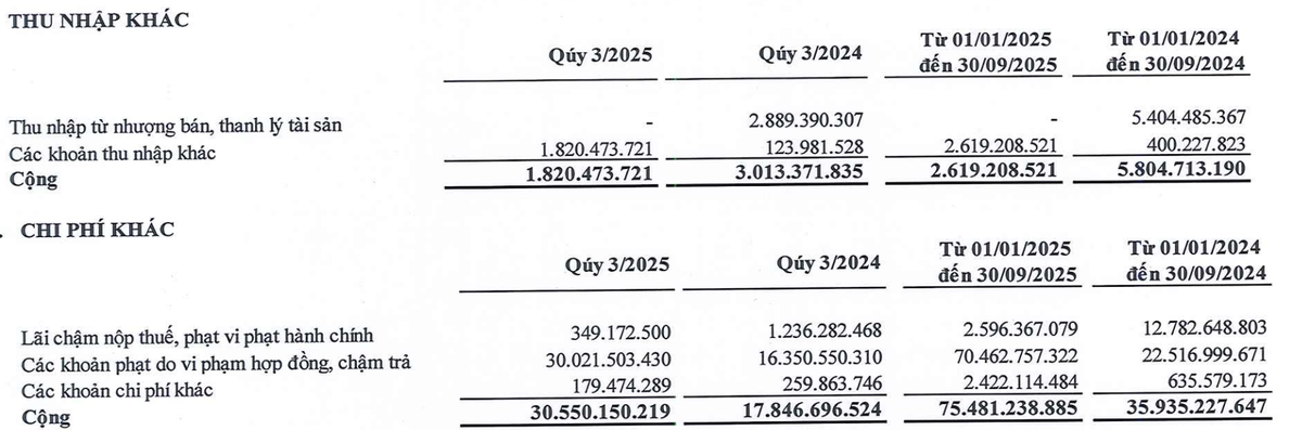 Lợi nhuận khác lỗ trong quý III do NBB bị phạt do vi phạm hợp đồng, chậm trả.