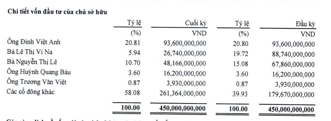 Bà Vi Na từng sở hữu 19,72% vốn tại Royal Invest JSC tại thời điểm đầu năm 2025.