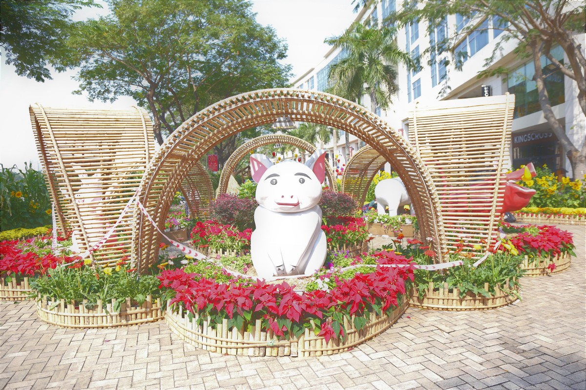 Người Sài Gòn háo hức với hội hoa xuân Phú Mỹ Hưng ảnh 5