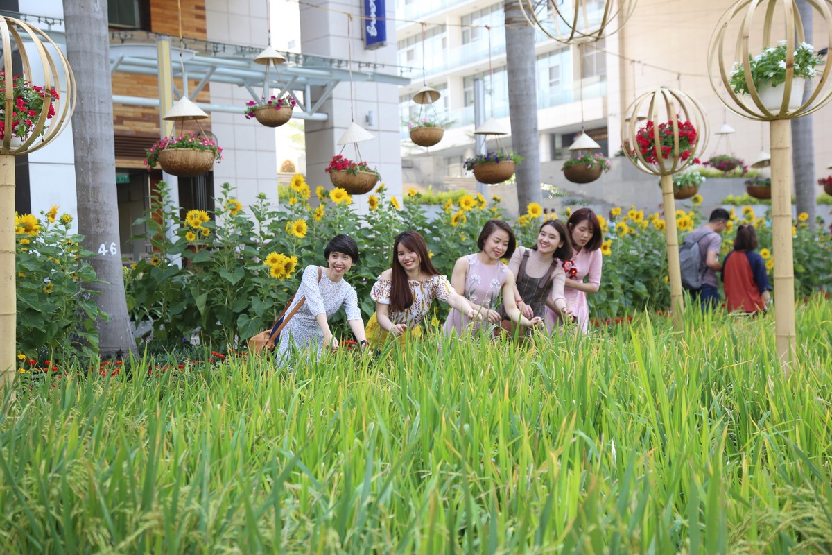 Người Sài Gòn háo hức với hội hoa xuân Phú Mỹ Hưng ảnh 3