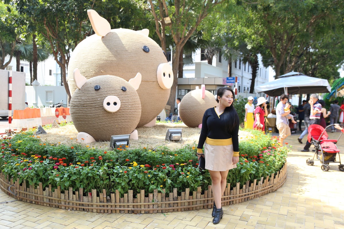 Người Sài Gòn háo hức với hội hoa xuân Phú Mỹ Hưng ảnh 6
